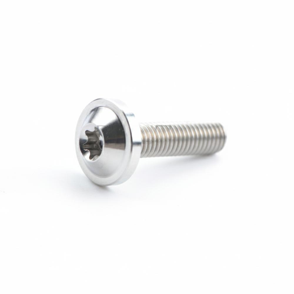 M6x15 Titanium Bolts M6x10 T30 Torx Bolts High Quality Titanium Screws