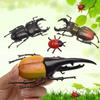 Beetle Insect Toy Beetle Figures Special Lifelike Model Simulation Beetle Beetle Toys Insect Model