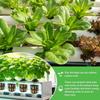 72Pcs Stonewool Hydroponic Grow Media Plant Cubes Soilless Substrate Plug Seedling Block for Hydroponics Growing System