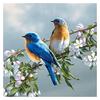 Full 5D Diy Diamond Painting Landscape Bird Diamond Embroidery Cross Stitch Home Decor Handmade Gift