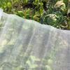 Garden Protect Insect Animal Netting Vegetables Crops Plant Mesh Bird Net