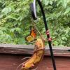 Banana Hanger for Butterflies Outdoor Banana Hammock Butterfly Feeder Metal Banana Holder for Attracting Butterflies