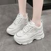 Platform dad shoes women's 2025 new spring and autumn heightening lace-up casual shoes women's Korean version fashion sports little white shoes tide