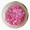 Hot Polymer Clay Christmas Candy Cane House Sprinkles Slime Slice for Crafts Making Phone Decor DIY Scrapbooking