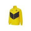 Puma Borussia Dortmund Pre-Match Training Stand Collar Jacket Men Outerwear Yellow 765020-01