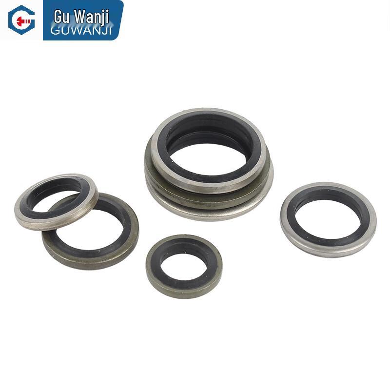 Guwanji JB 982 High-Pressure Combined Sealing Washer