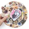 50PCS Husky Puppy Stickers Corgi Shiba Inu Stickers Toy Meme Dog Stickers  Hand Ledger