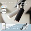 Edison Smart Мини-спот светодиодный подвесной потолочный совместимый с Alexa умный цветной угол луча рельсовый жилой стильный дизайн (для креплений/черный) освещение,