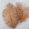 Colored Camel Bird Fur 15 -20cm Wedding Ornament Net Red Wall Decorative Feather Wall Hand Blooming Flowers Diy Dream Network Material