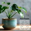 Plant Stem Support Metal Monstera Clamp Plant Support Plant Stem Holder Monstera Stabilizer Grapple Holder for Climbing Plants