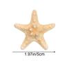 Shell crown Mermaid makeup Hair Clips Hair Rope Hairpins Starfish Accessories Corsage