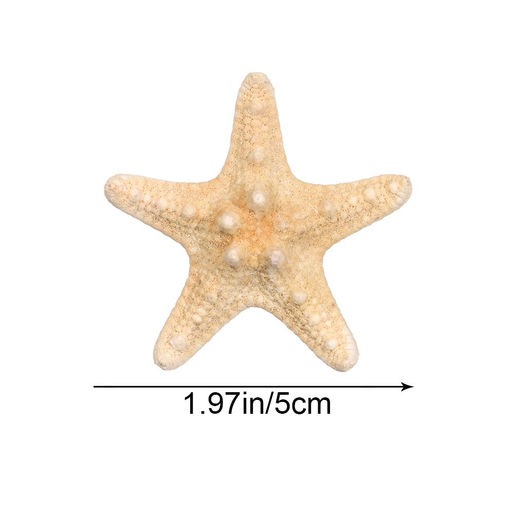 Shell crown Mermaid makeup Hair Clips Hair Rope Hairpins Starfish Accessories Corsage