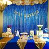 Laser Tassel Rain Curtain for Birthday & Wedding Decorations