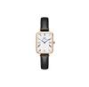 Часы Daniel Wellington Quadro Roman Numerals Sheffield
