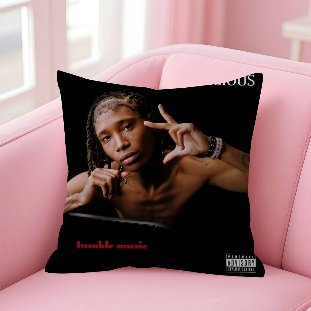 Pillow Covers Cartoon Sofa Decorative Home Doublesided Printing Short Plush Cute Cushion Cover Singer NNine Vicious