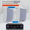 Weishu BM-8 Professional Passive Speaker System with Amplifier