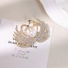 Anti-Light Swan Brooch Light Luxury High-End Niche Corsage Exquisite Versatile Suit Fixed Pin Decorative Accessories