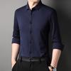 Spring and Autumn New Men's Mulberry Silk Light Business Formal Shirt Men's Casual Long-sleeved Men's Shirt