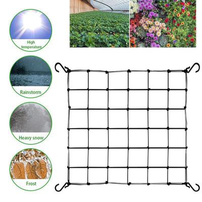 Решетчатая сетка Scrog Net с 4 крючками Простая установка Огуречная садоводство Садоводство Сверхмощная сетка для растений