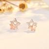 New Product Double Huixing Earring Pin High-end Niche Five-pointed Star Earrings Ear Piercing Exquisite Jewelry