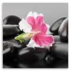 Canvas print, Pink flower on stones