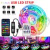 DC5V WS2812B Led RGB Strip Bluetooth Music Sync RGBIC Chasing Dream Color USB 5050 LED Strip Light Flexible Tape Diode Ribbon