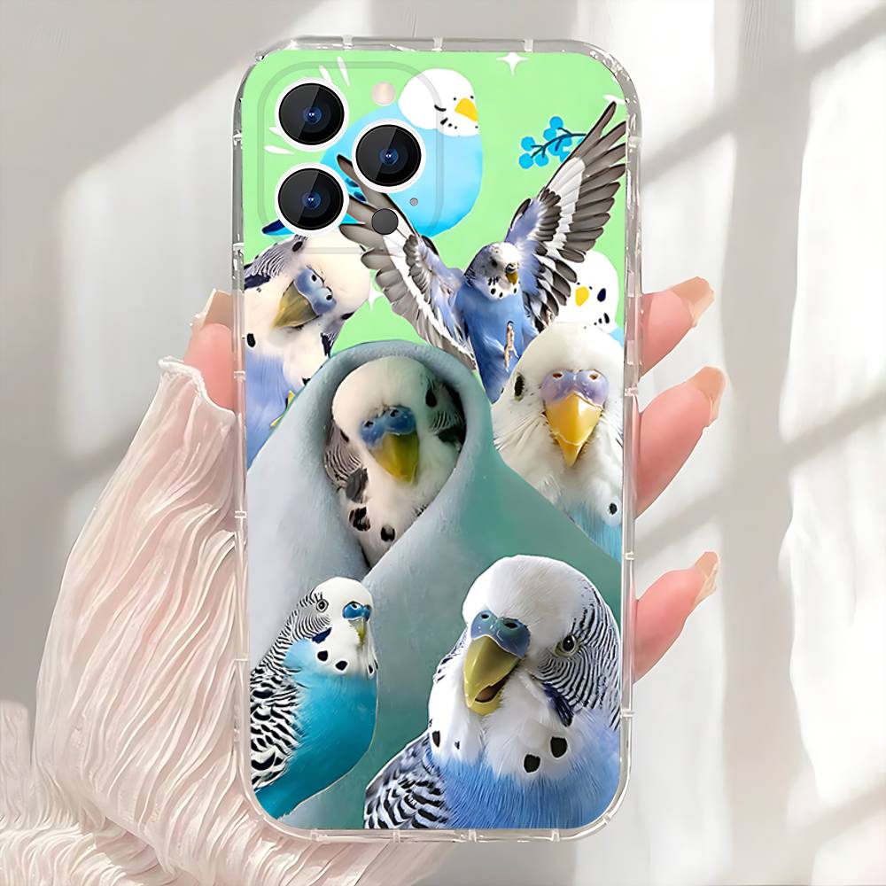Пухлый попугай-корелла Птица Чехол для телефона Для iPhone 17,16,15,14,13,12,11 Pro,Max,Plus,X,XS,XR,SE4,E Mini Прозрачный Мягкий Чехол