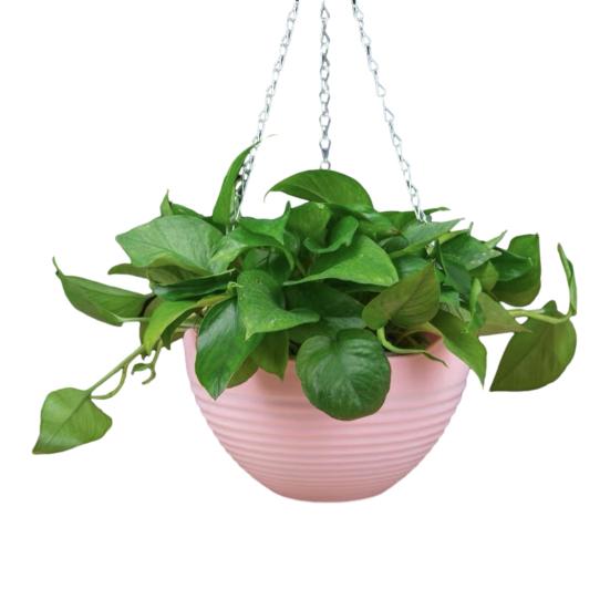 7 шт. подвесных кашпо дренаж металлические цепочки пластиковые отверстия и цветочные горшки с подвесными цветочными горшками