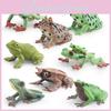 Набор реалистичных пластиковых моделей лягушек, включающий треугольную листовую лягушку и красноглазую древесную лягушку