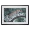Printed and Framed Canvas "Leopard Juni" 50 X 70 Cm Atmosphera