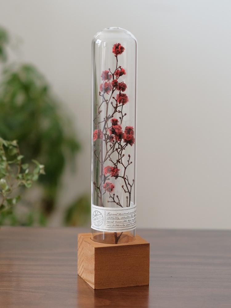 Wabi-Sabi Style Xian Porcelain Test Tube Rack: Retro Gift for Dried and Preserved Flowers, Plant Specimen Display