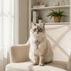 Cute Double Layer Pet Pearl Necklace Vintage Adjustable Cat Neck Chain Glamorous Crystal Cat Pearl Collar Pet Show