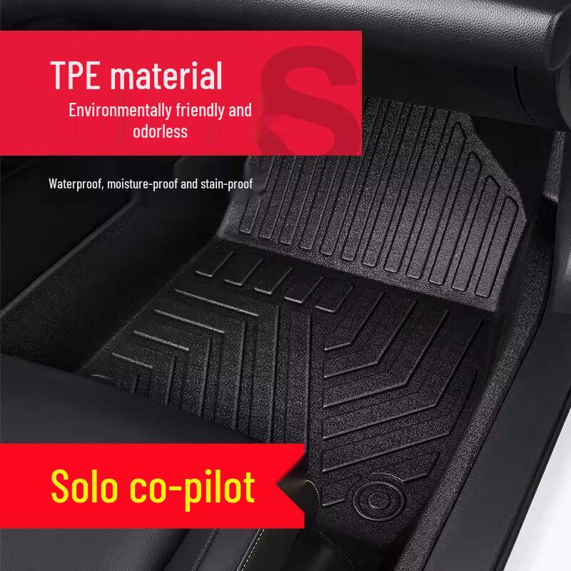 Индивидуальные автомобильные коврики для Soueast Motors DX7 - Дизайн из ТПЭ и витой