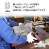 Shimomura Planning Простой и изысканный вертикальный дренажный лоток Совместим с различными вариантами Также может вмещать небольшой поднос с плавно перемещающимися палочками для еды