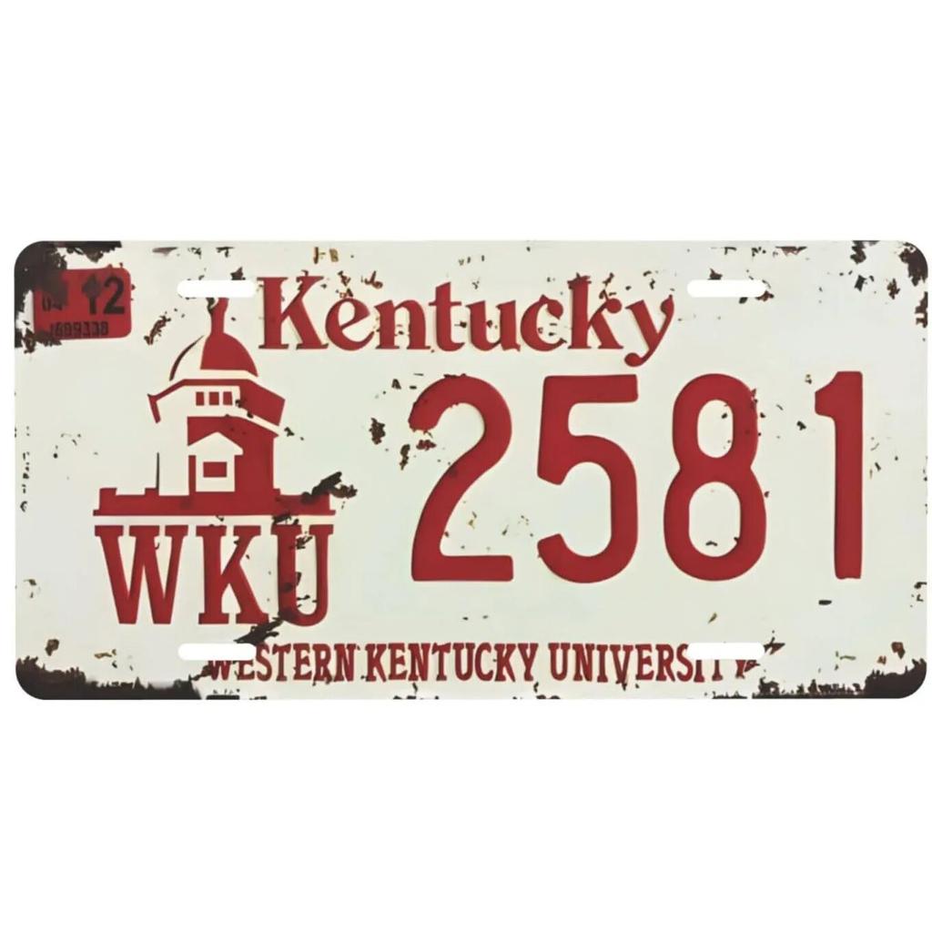 License Plate USA Retro Car Metal License Plate Novelty Wall Decoration Auto License Plate Signs Front Cover Garage Cafe Pub Bar