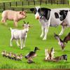 Realistic Animal Model Simulated Poultry Figurines Miniatures Mini Farm Dog Duck Cock Models Ornaments For Children Kids Gifts