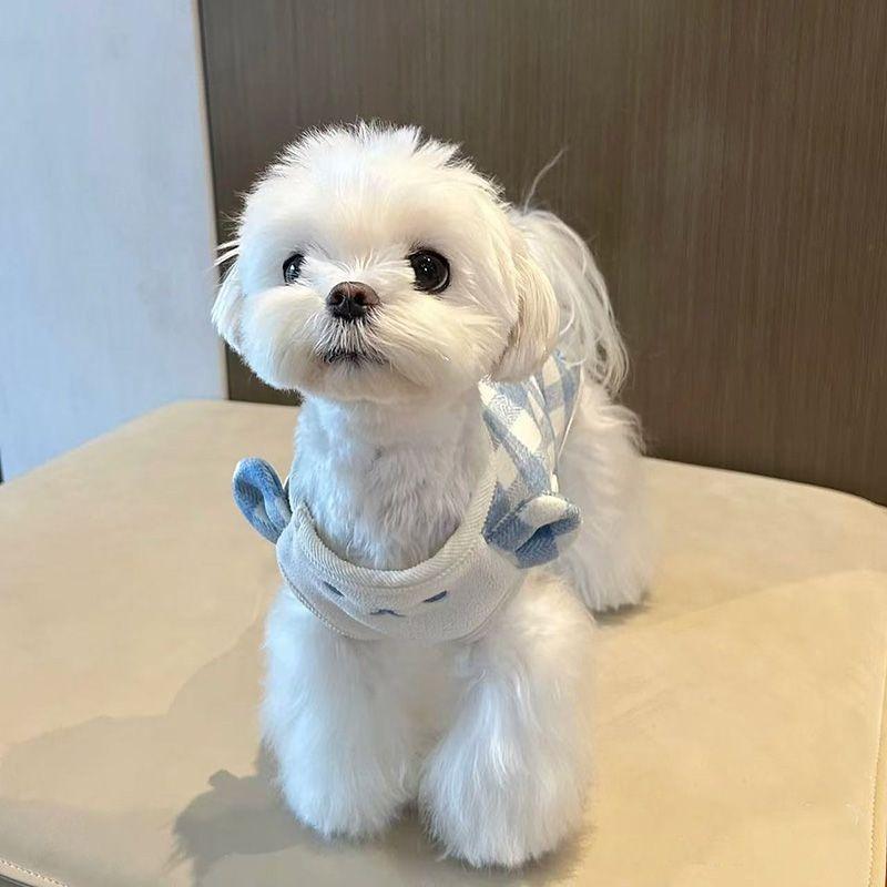 Pet Cat Dog Clothes Cute Home Clothes Maltese Bear Spring and Autumn Thin Velvet Xishi Dog Clothes