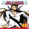 Bleach Vol. 48 by Tite Kubo Paperback Book 9781421543017