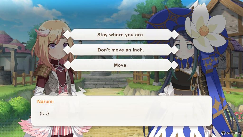 Elrentaros Wanderings Северный переключатель (Импортная версия Америка) –