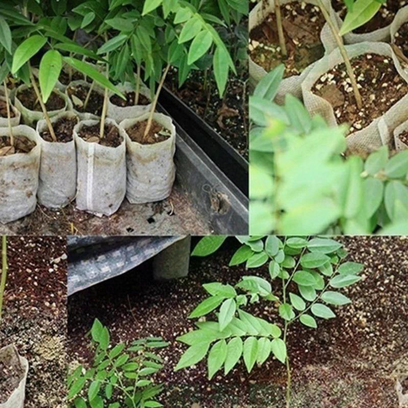 8x10 см 100 шт биоразлагаемые мешки для рассады семян, нетканые мешки для выращивания растений, тканевые горшки для рассады мешочки для растений, товары для дома и сада