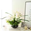 Premium Artificial Green Plants for Home Decor – Perfect for Living Room, Dining Table, TV Stand, or Entryway