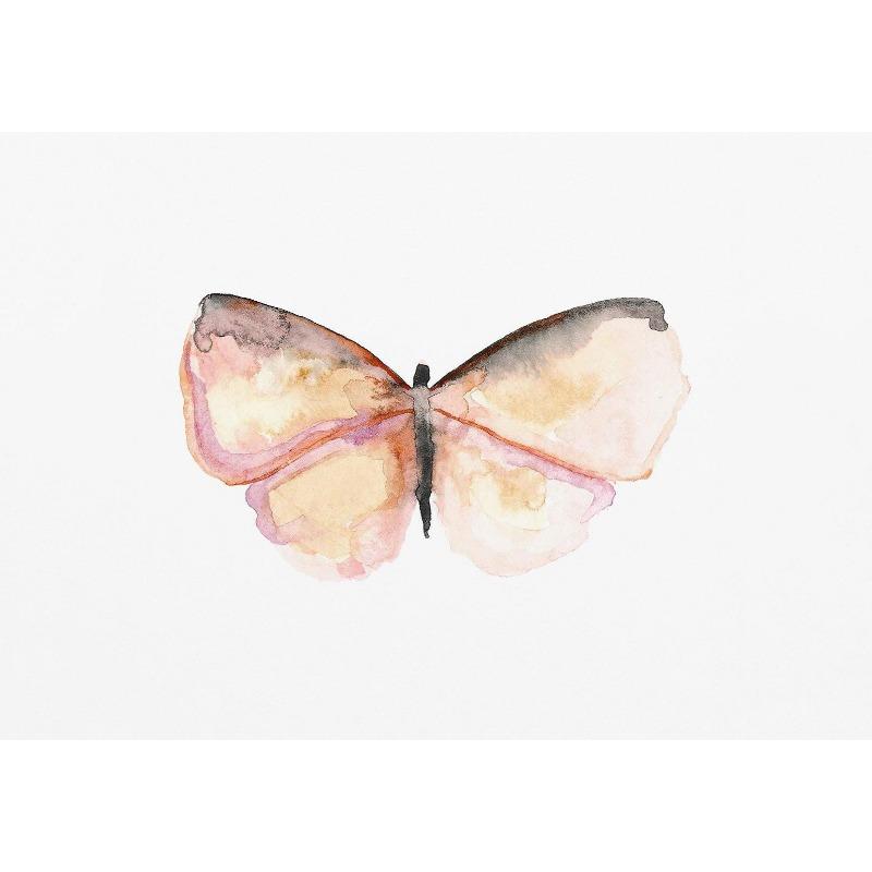 Акварельные насекомые бабочки мотыльки плакат печать пастель насекомое холст картина природа настенное искусство картина детская комната декор