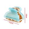Barrette Acrylic Hair Clip Candy Colors Butterfly Hair Clip Cute Hairpin Clamp  Women Girl