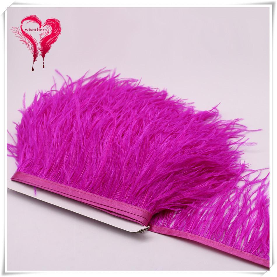 Ostrich Hair Cloth Edge Dress Dress Accessories Skirt Feather Trim With 10-15Cm Tassel