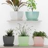 Pack of 5 6 Inch Plant Flower Pots with Drainage Holes and Tray Saucers Outdoor Indoor - Ideal for Indoor Plants, Succulents, and Small Pots