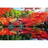 [Made In Japan] Beverly 1000 Piece Jigsaw Puzzle Daigoji Temple In Autumn Colors (49 X 72cm) 1000-066