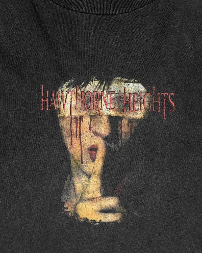 The Silence Hawthorne Heights Shirt Black Unisex S-5XL ND1606 Unisex T-Shirt