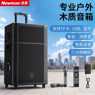 Портативная Bluetooth-колонка для караоке Newmine N528, 15 дюймов, штекер CN (адаптер в комплекте)