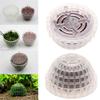 Plastic Suspension Moss Dome White Moss Balls For Fish Tank Live New Marimo Moss Ball Fish Tank