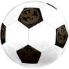1PC Phoenix Artwork Soccer Ball Size 5 Football Machine Sewn Indoor/Outdoor Universal Football Gift W66
